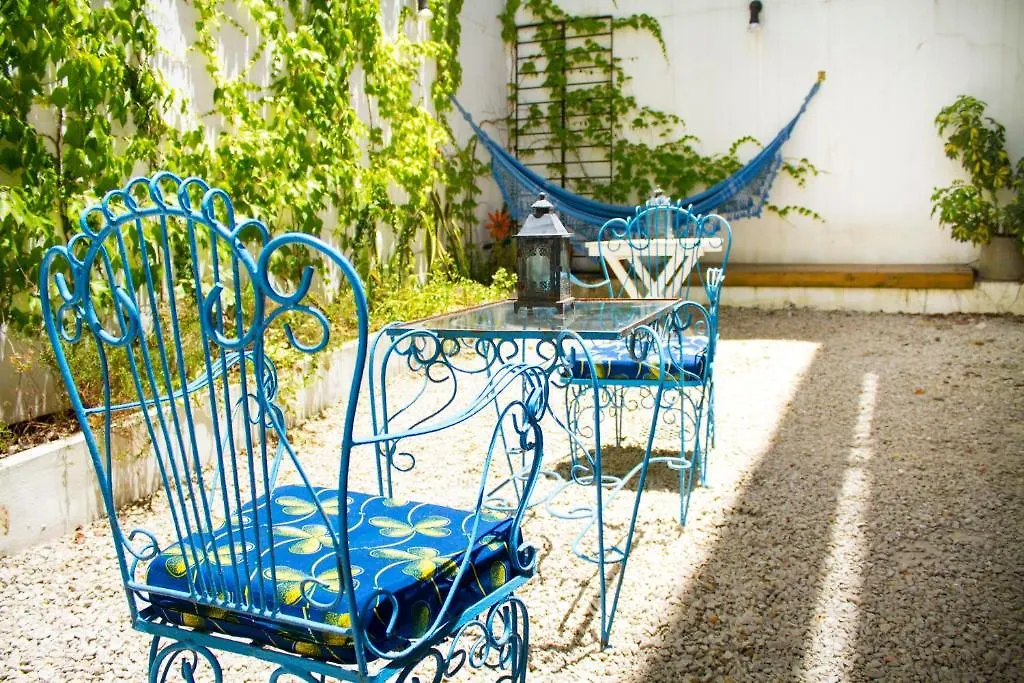 Querido Bed And Breakfast-1